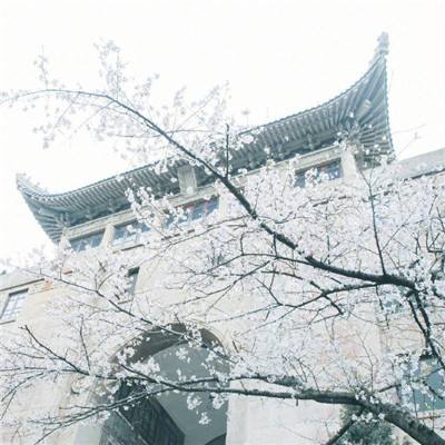 广西房屋倒塌2名遇难者系大学生